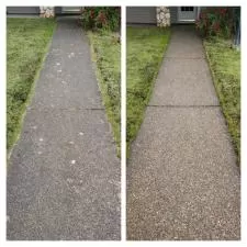 Gutter and Concrete Cleaning 0