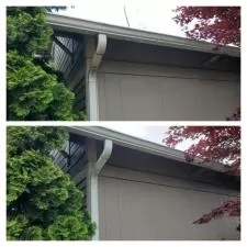 Gutter and Concrete Cleaning 1