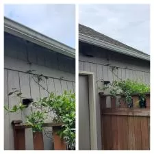 Gutter and Concrete Cleaning 2