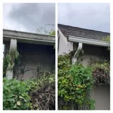 Gutter and Concrete Cleaning 4