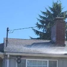 Roof Washing in Edgewood, WA 4